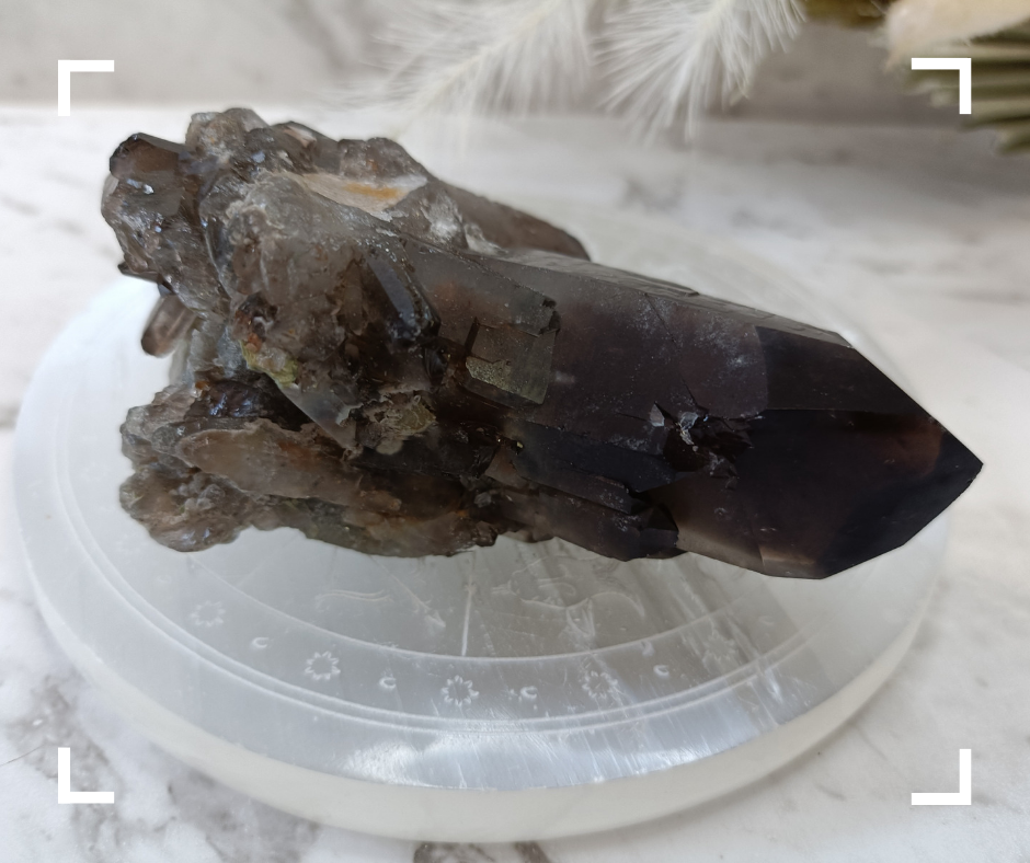 Smokey Quartz Crystal Cluster 2