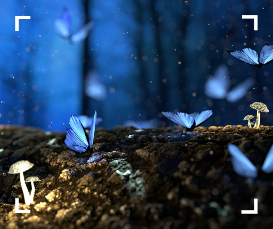 Dream Interpretation