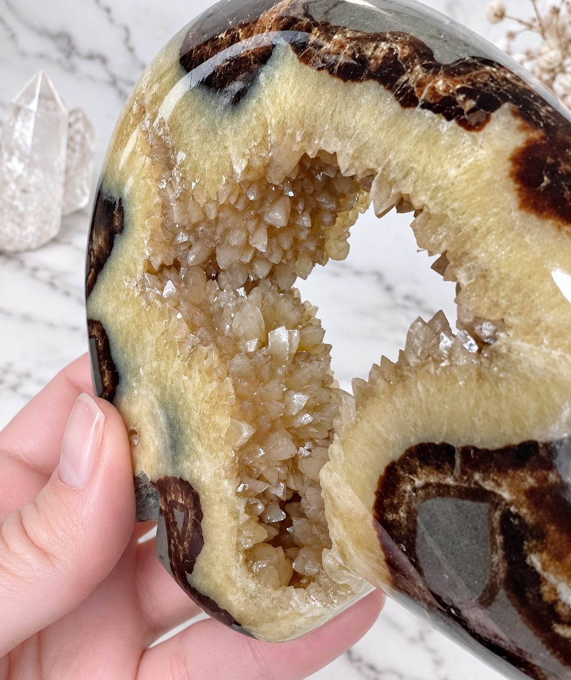 Septarian Crystal Druzy Byson