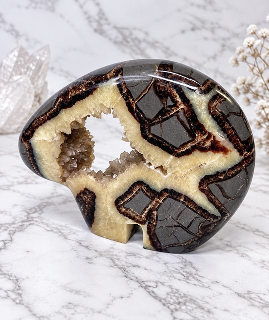 Septarian Crystal Druzy Byson