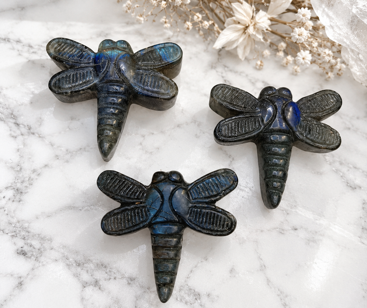 Labradorite Dragonfly Crystal Carving