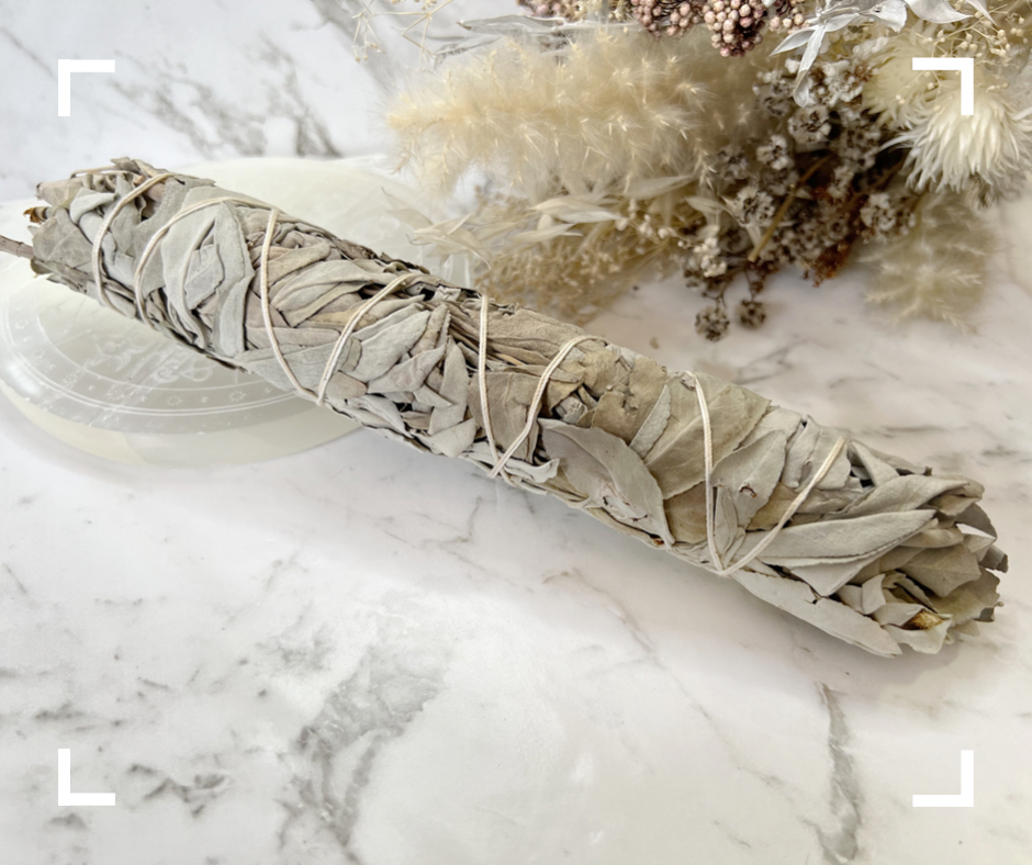 Large White Sage