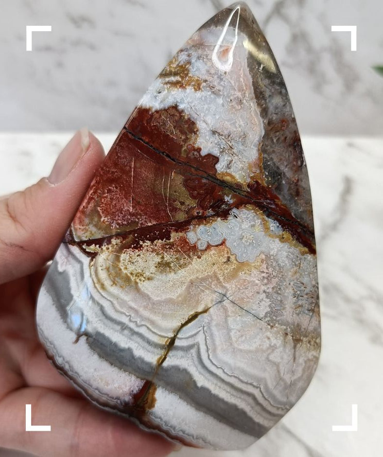 Mexican Crazy Lace Agate Crystal Freeform