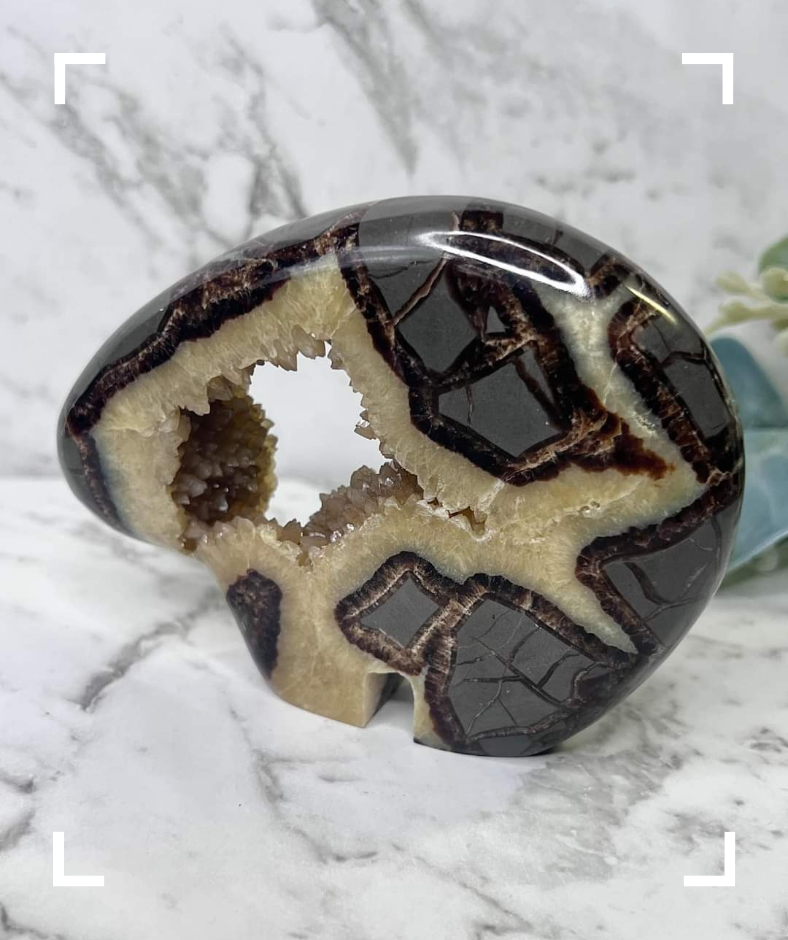 Septarian Crystal Druzy Byson