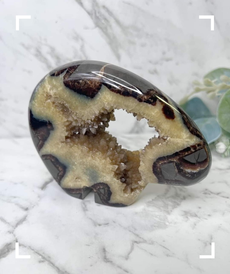 Septarian Crystal Druzy Byson