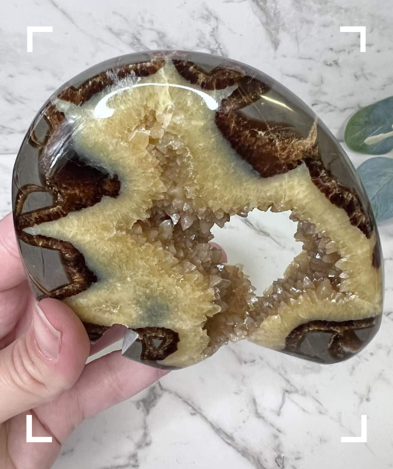 Septarian Crystal Druzy Byson