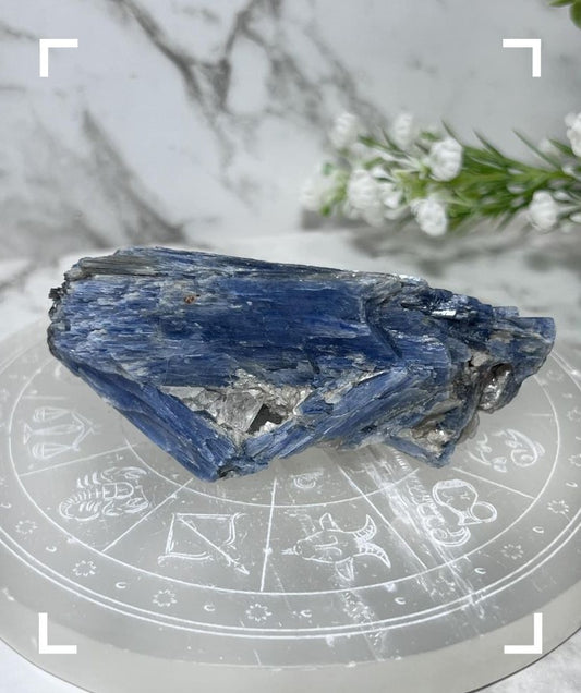 Brazilian Blue Kyanite Crystal Specimen