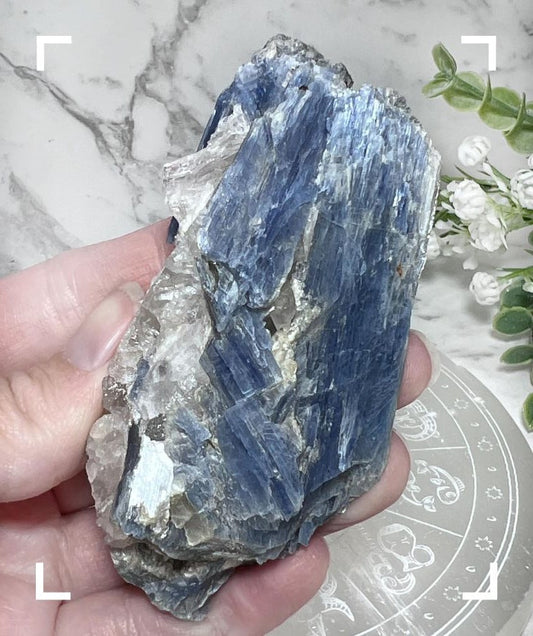 Brazilian Blue Kyanite Crystal Specimen