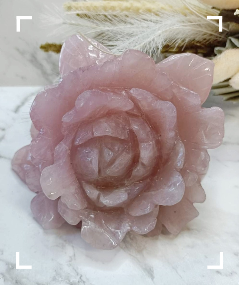 Rose Quartz Crystal Rose