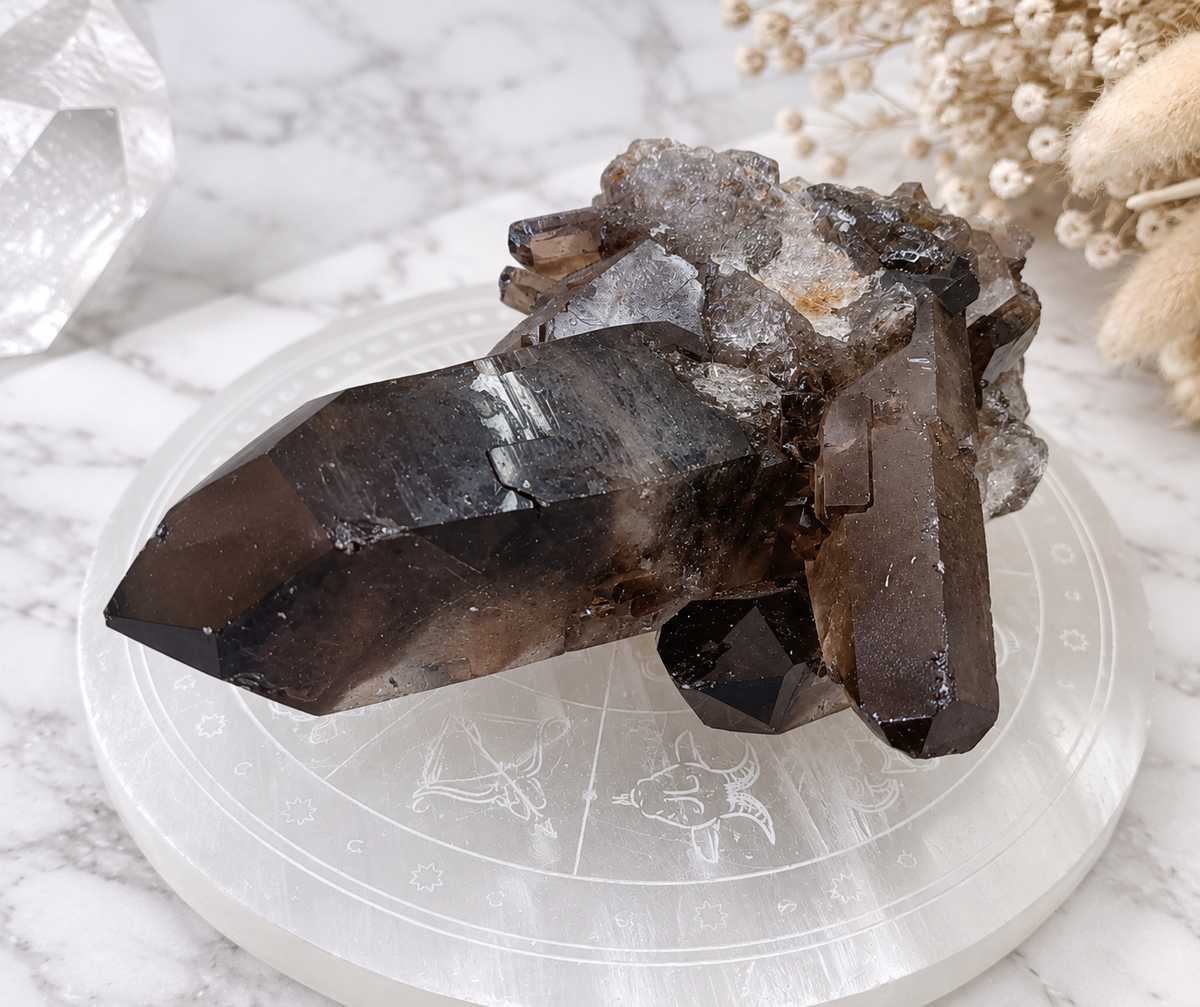 Smokey Quartz Crystal Cluster 2