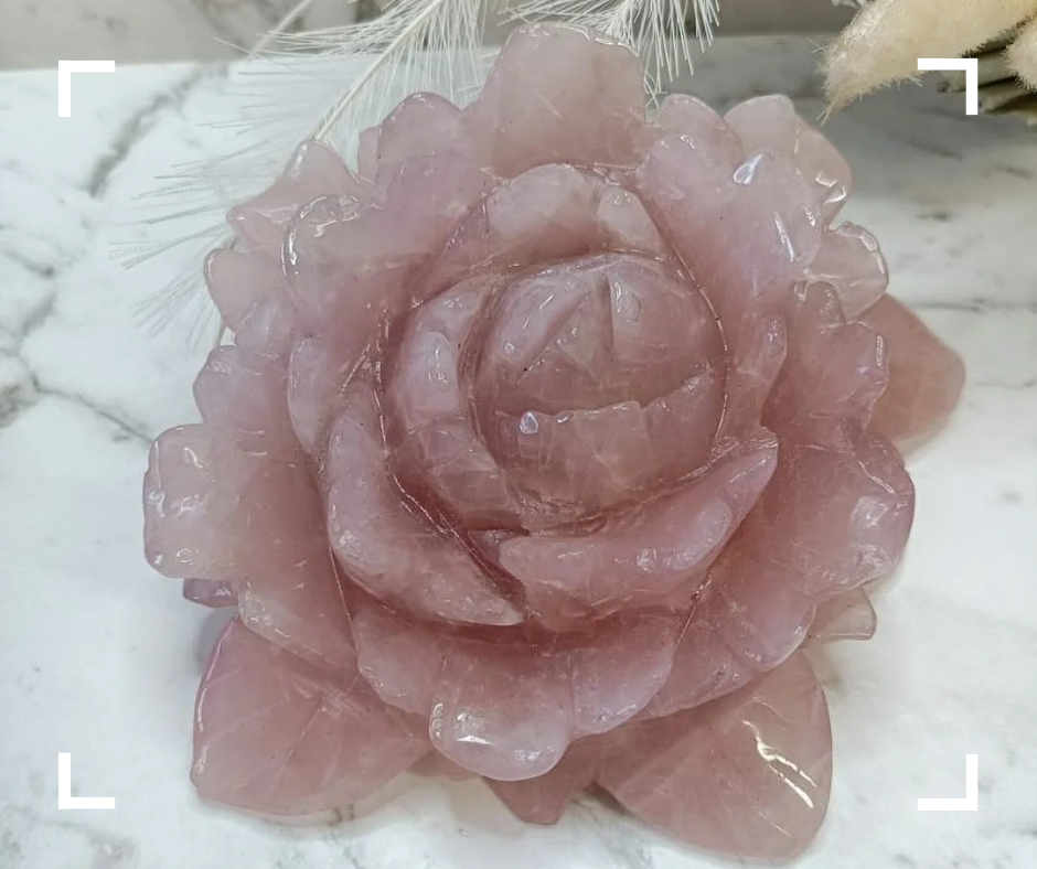 Rose Quartz Crystal Rose