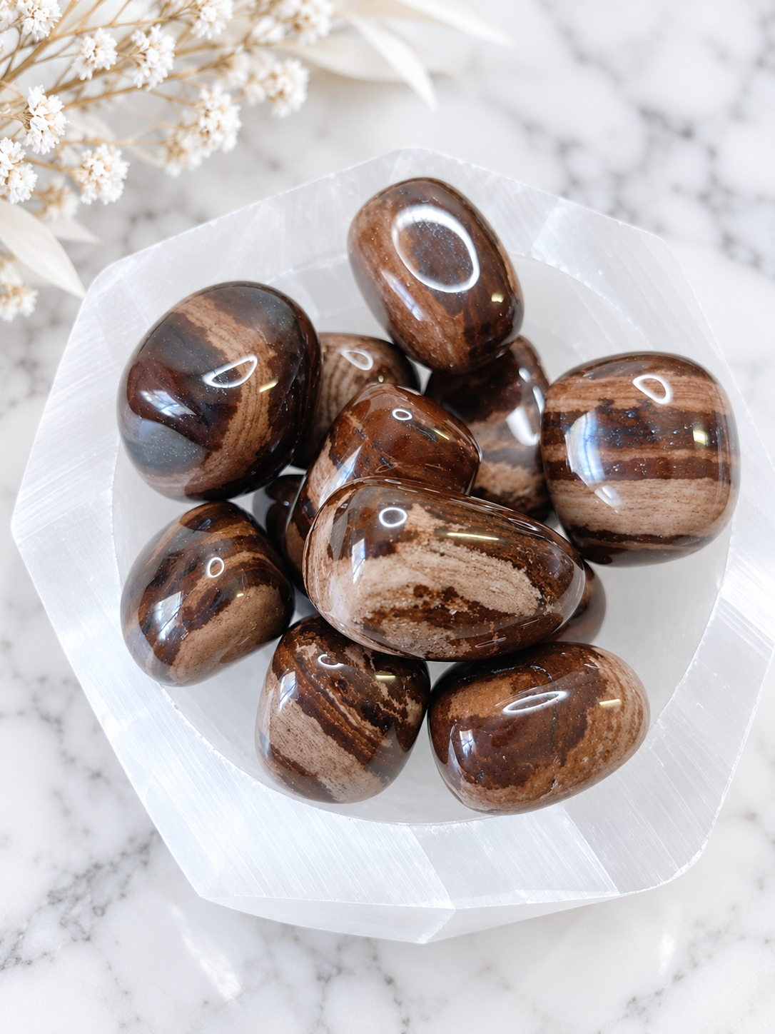 Chocolate Jasper Crystal Tumble