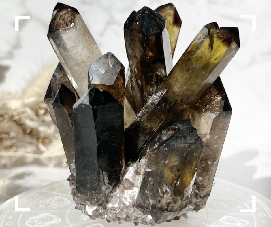 Smokey Quartz Crystal Cluster